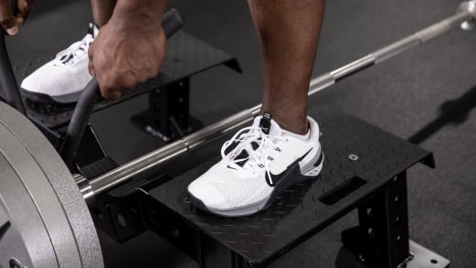 Rogue Indy T-Bar Row | Rogue Fitness